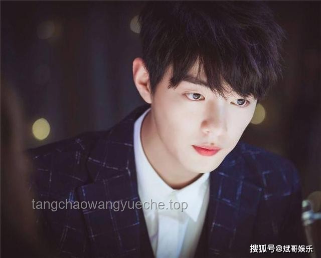龙舟与吴彦祖：传统文化符号与现代偶像魅力的对比分析